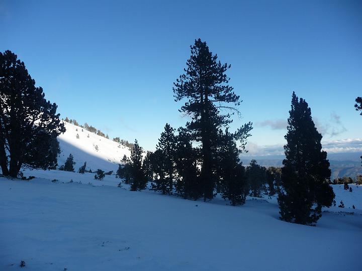 Canigou_2010 029.jpg